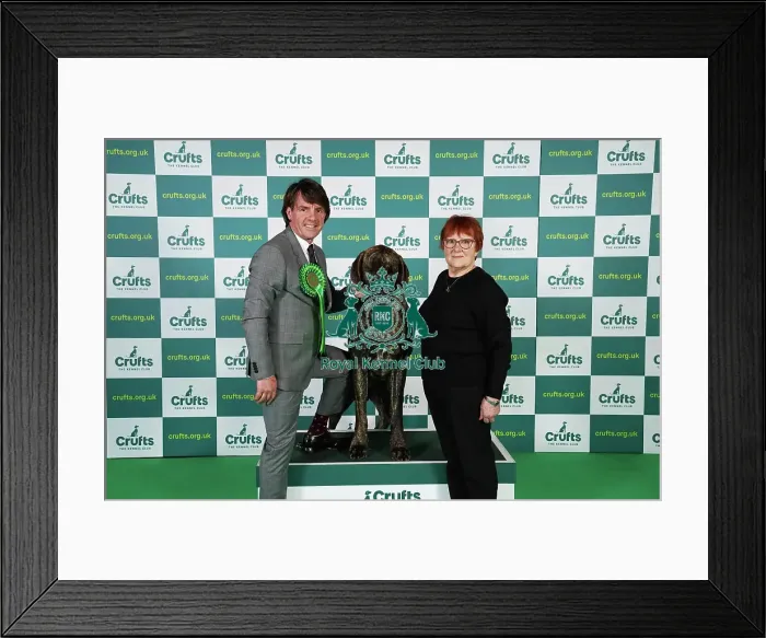 Framed Print : Lesley Chappell and Adam Chappell from Matlock with Guy, a Great Dane, which was the Best of Breed winner today (Friday 10. 03. 23), the second day of Crufts 2023, at the NEC Birmingham Framed Print : Lesley Chappell and Adam Chappell from Matlock with Guy, a Great Dane, which was the Best of Breed winner today (Friday 10. 03. 23), the second day of Crufts 2023, at the NEC Birmingham