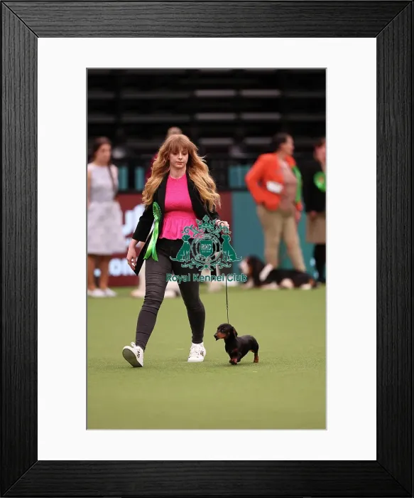 Framed Print : Aida Lamer from South Wales with Lucy, a Dachshund (Miniature Smooth Haired), which was the Best of Breed winner today (Saturday 11. 03. 23), the third day of Crufts 2023, at the NEC Birmingham
