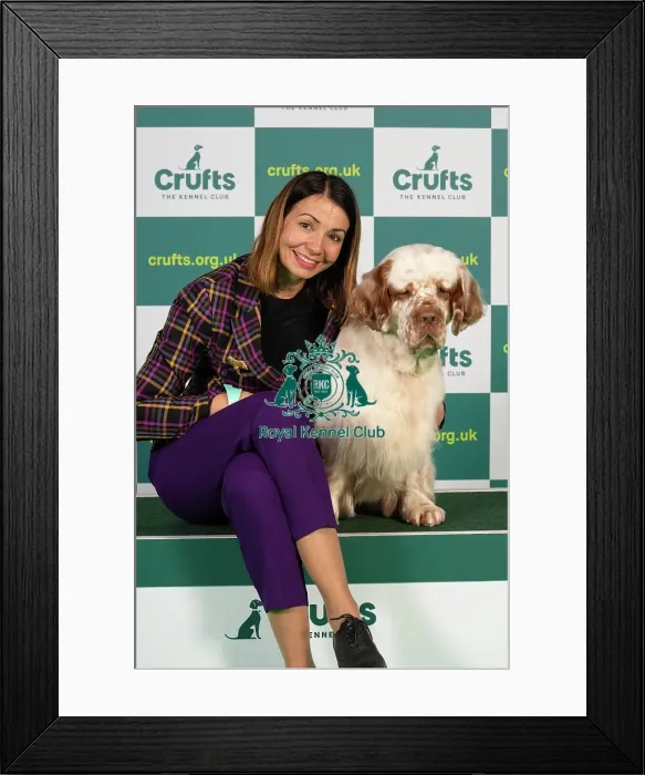Framed Print : Maja Bublao from Croatia with Villi, a Clumber Spaniel, which was the Best of Breed winner today (Thursday 09. 03. 23), the first day of Crufts 2023, at the NEC Birmingham Framed Print : Maja Bublao from Croatia with Villi, a Clumber Spaniel, which was the Best of Breed winner today (Thursday 09. 03. 23), the first day of Crufts 2023, at the NEC Birmingham