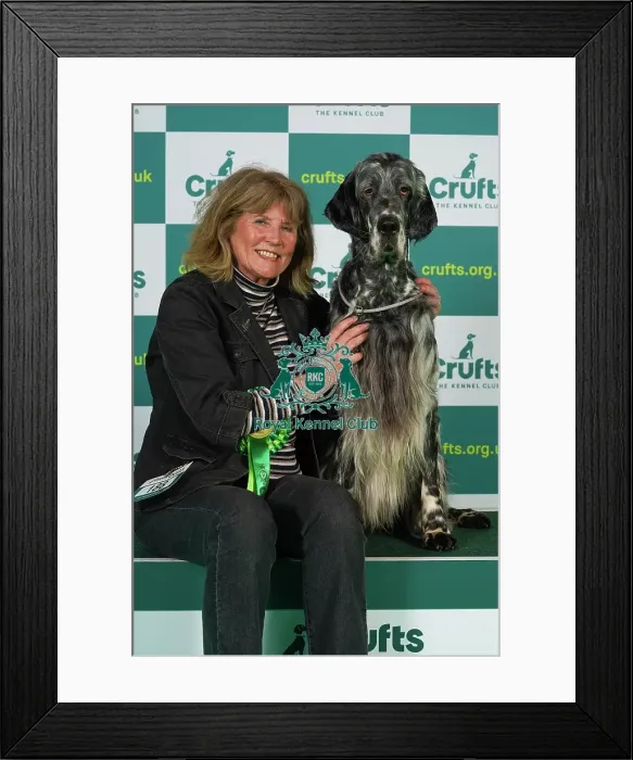 Framed Print : Linda Taylor from Nottinghamshire with Guy, a English Setter, which was the Best of Breed winner today (Thursday 09. 03. 23), the first day of Crufts 2023, at the NEC Birmingham Framed Print : Linda Taylor from Nottinghamshire with Guy, a English Setter, which was the Best of Breed winner today (Thursday 09. 03. 23), the first day of Crufts 2023, at the NEC Birmingham