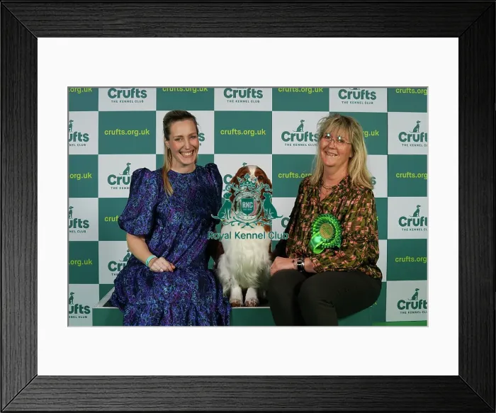 Framed Print : Christina Drottsgard and Gudrun Brownstrom from Sweden with Archie, a Welsh Springer Spaniel, which was the Best of Breed winner today (Thursday 09. 03. 23), the first day of Crufts 2023, at the NEC Birmingham