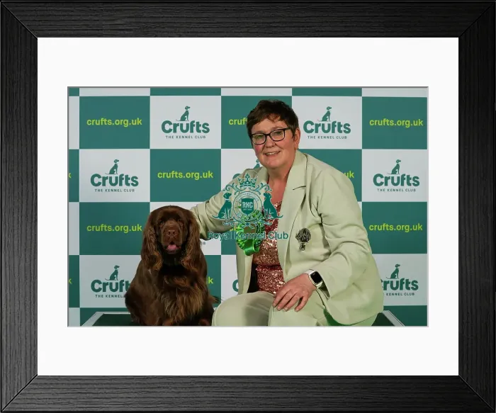 Framed Print : Sue Mowbray from Morpeth with Luna, a Sussex Spaniel, which was the Best of Breed winner today (Thursday 09. 03. 23), the first day of Crufts 2023, at the NEC Birmingham Framed Print : Sue Mowbray from Morpeth with Luna, a Sussex Spaniel, which was the Best of Breed winner today (Thursday 09. 03. 23), the first day of Crufts 2023, at the NEC Birmingham