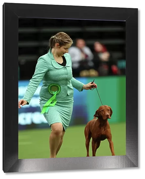 Adela Zafar from Woking with Hunter, a Hungarian Vizsla, which was the Best of Breed winner today (Thursday 09. 03. 23), the first day of Crufts 2023, at the NEC Birmingham