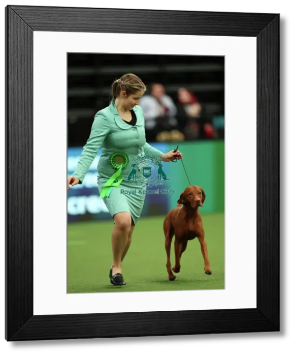 Framed Print : Adela Zafar from Woking with Hunter, a Hungarian Vizsla, which was the Best of Breed winner today (Thursday 09. 03. 23), the first day of Crufts 2023, at the NEC Birmingham