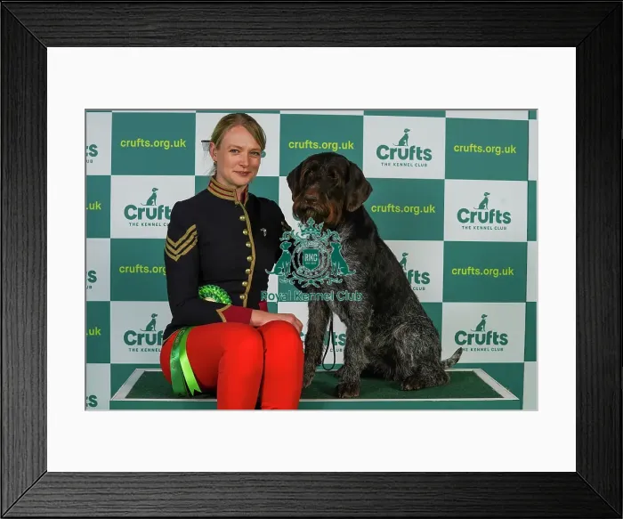 Framed Print : Nicki Johnston from Colchester with Zena, a German Wirehaired Pointer, which was the Best of Breed winner today (Thursday 09. 03. 23), the first day of Crufts 2023, at the NEC Birmingham Framed Print : Nicki Johnston from Colchester with Zena, a German Wirehaired Pointer, which was the Best of Breed winner today (Thursday 09. 03. 23), the first day of Crufts 2023, at the NEC Birmingham