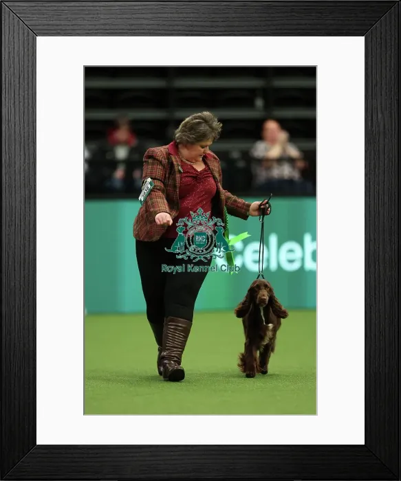 Framed Print : Gretel Osborn from Aylesbury with Esther, a Field Spaniel, which was the Best of Breed winner today (Thursday 09. 03. 23), the first day of Crufts 2023, at the NEC Birmingham Framed Print : Gretel Osborn from Aylesbury with Esther, a Field Spaniel, which was the Best of Breed winner today (Thursday 09. 03. 23), the first day of Crufts 2023, at the NEC Birmingham
