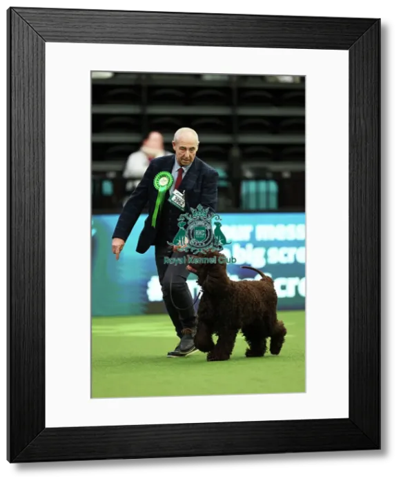 Framed Print : John Hackett from Sunderland with Finn, an Irish Water Spaniel, which was the Best of Breed winner today (Thursday 09. 03. 23), the first day of Crufts 2023, at the NEC Birmingham Framed Print : John Hackett from Sunderland with Finn, an Irish Water Spaniel, which was the Best of Breed winner today (Thursday 09. 03. 23), the first day of Crufts 2023, at the NEC Birmingham