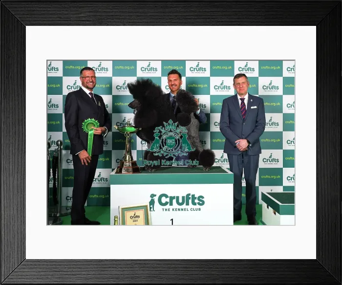 Framed Print : Philip Langdon from Bristol with Jake, a Philip Langdon, who won the coveted title of Best in Show today (Sunday 12. 03. 23), the final day of Crufts 2023, at the NEC Birmingham Framed Print : Philip Langdon from Bristol with Jake, a Philip Langdon, who won the coveted title of Best in Show today (Sunday 12. 03. 23), the final day of Crufts 2023, at the NEC Birmingham