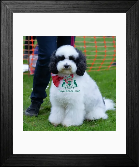 Framed Print : Scruffts Newbury Framed Print : Scruffts Newbury