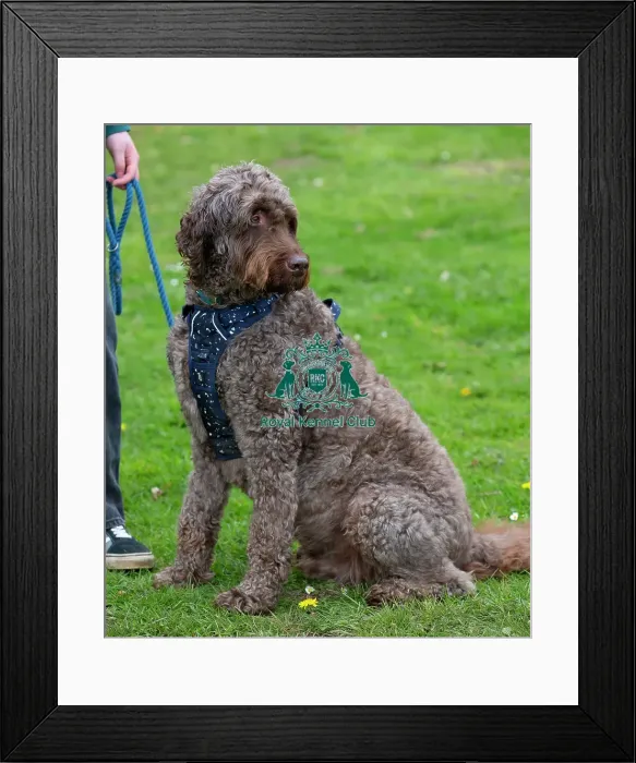 Framed Print : Scruffts Newbury Framed Print : Scruffts Newbury