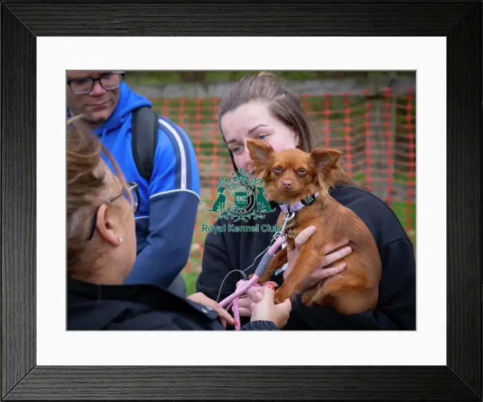 Framed Print : Scruffts Newbury Framed Print : Scruffts Newbury