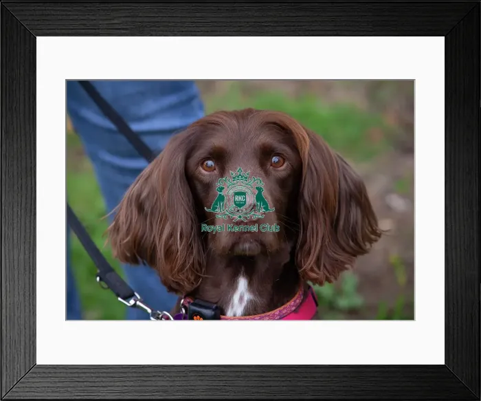 Framed Print : Scruffts Newbury Framed Print : Scruffts Newbury