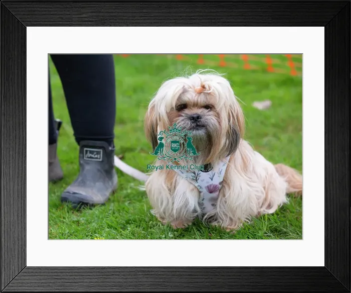 Framed Print : Scruffts Newbury Framed Print : Scruffts Newbury