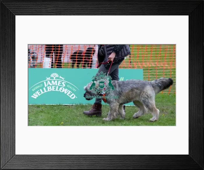 Framed Print : Scruffts Newbury Framed Print : Scruffts Newbury