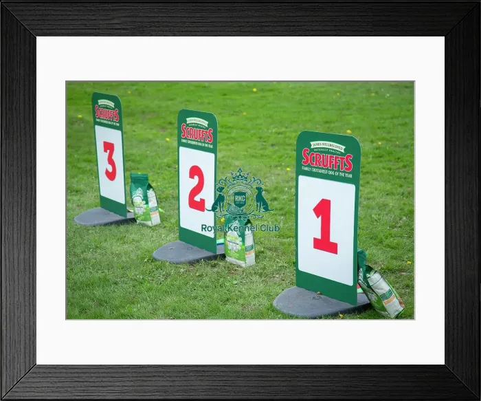 Framed Print : Scruffts Newbury Framed Print : Scruffts Newbury