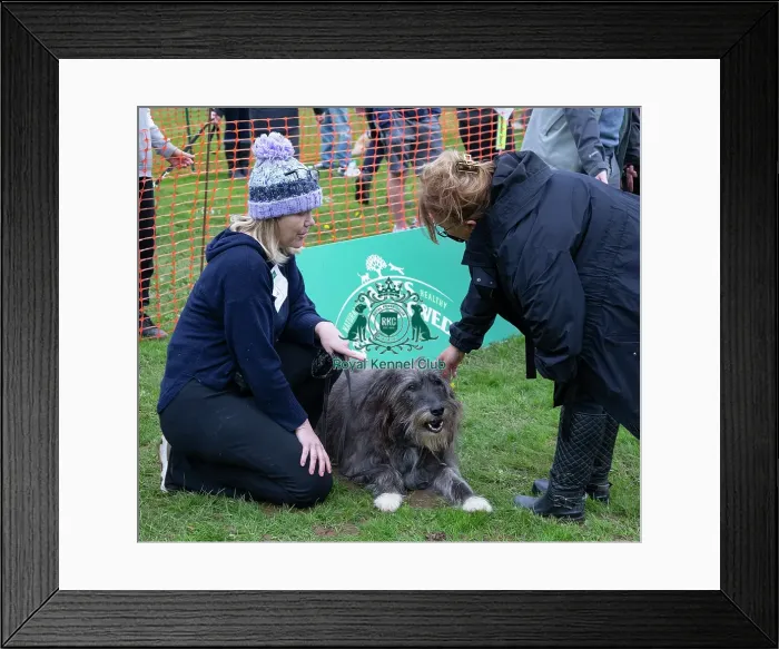 Framed Print : Scruffts Newbury Framed Print : Scruffts Newbury