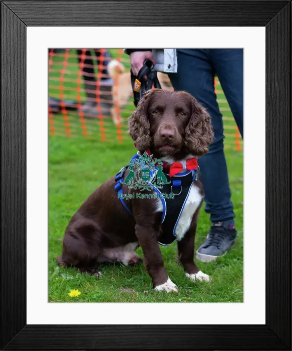 Framed Print : Scruffts Newbury Framed Print : Scruffts Newbury
