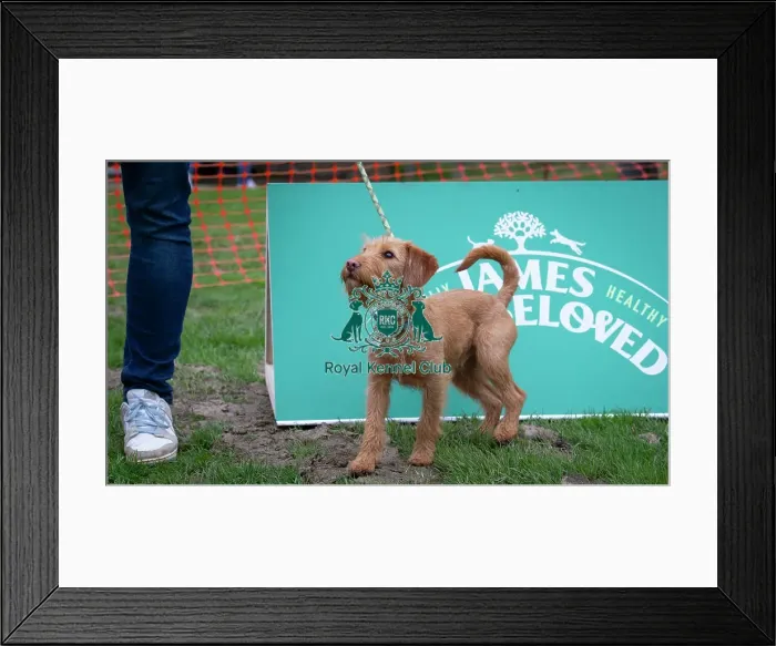 Framed Print : Scruffts Newbury Framed Print : Scruffts Newbury