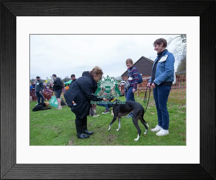 Framed Print : Scruffts Newbury Framed Print : Scruffts Newbury