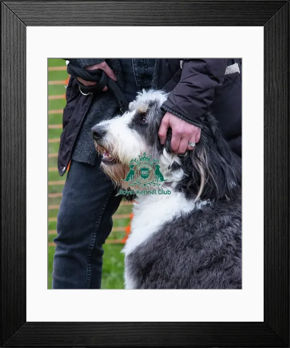 Framed Print : Scruffts Newbury Framed Print : Scruffts Newbury
