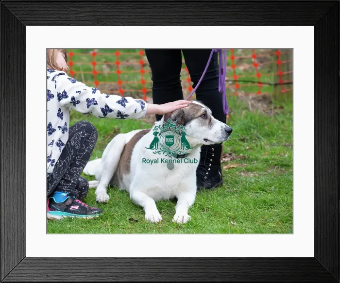 Framed Print : Scruffts Newbury Framed Print : Scruffts Newbury