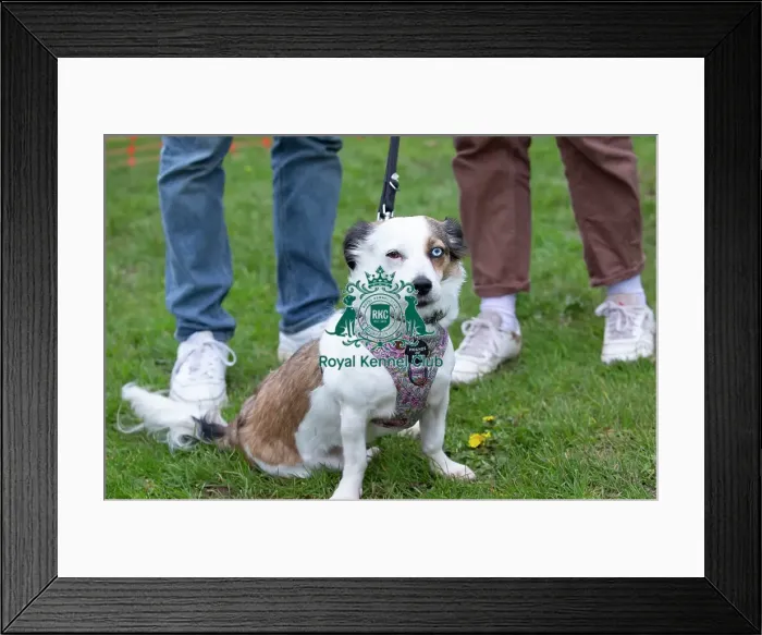 Framed Print : Scruffts Newbury Framed Print : Scruffts Newbury