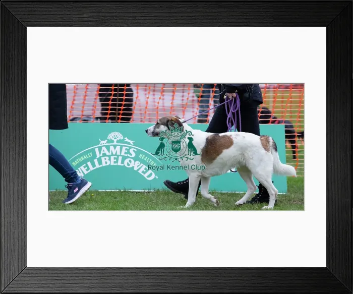 Framed Print : Scruffts Newbury Framed Print : Scruffts Newbury
