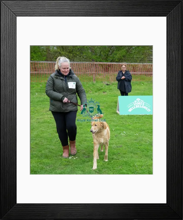 Framed Print : Scruffts Newbury Framed Print : Scruffts Newbury