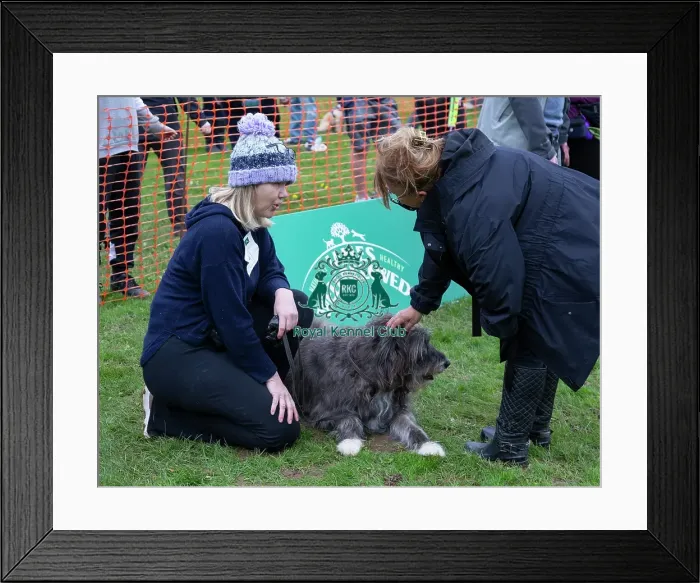 Framed Print : Scruffts Newbury Framed Print : Scruffts Newbury