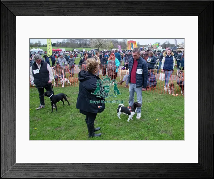 Framed Print : Scruffts Newbury Framed Print : Scruffts Newbury