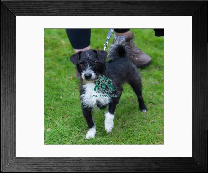 Framed Print : Scruffts Newbury Framed Print : Scruffts Newbury