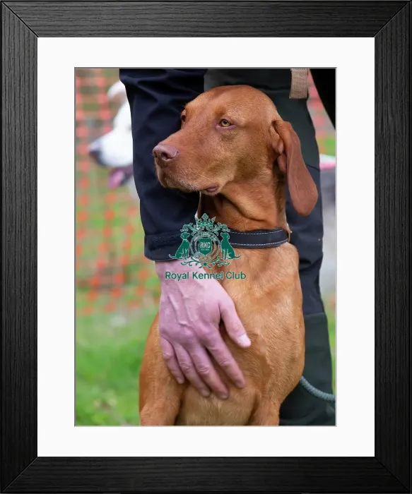 Framed Print : Scruffts Newbury Framed Print : Scruffts Newbury