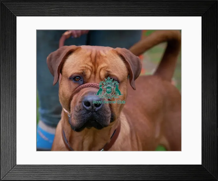 Framed Print : Scruffts Newbury Framed Print : Scruffts Newbury