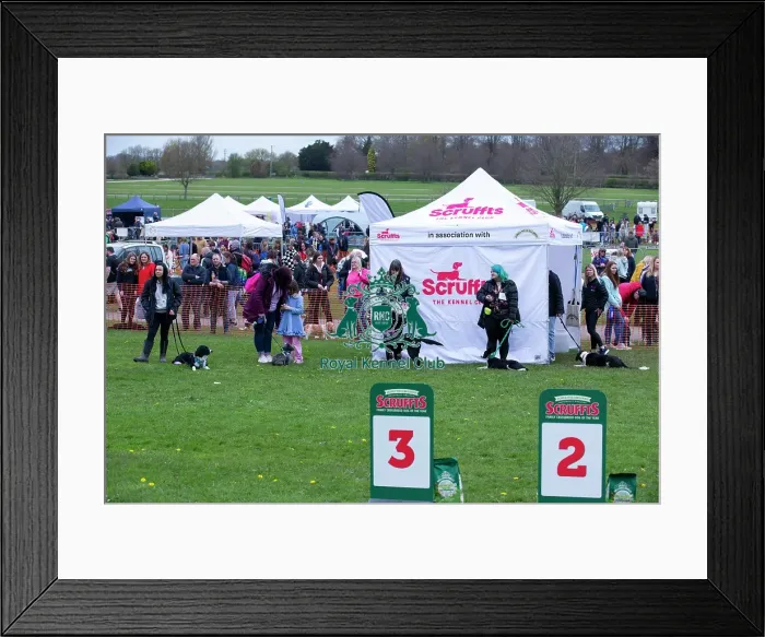 Framed Print : Scruffts Newbury Framed Print : Scruffts Newbury
