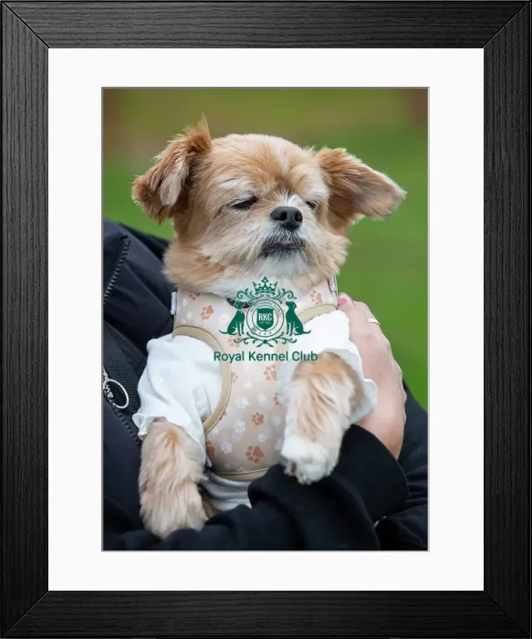 Framed Print : Scruffts Newbury Framed Print : Scruffts Newbury