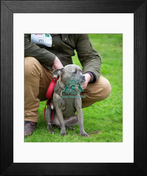 Framed Print : Scruffts Newbury Framed Print : Scruffts Newbury