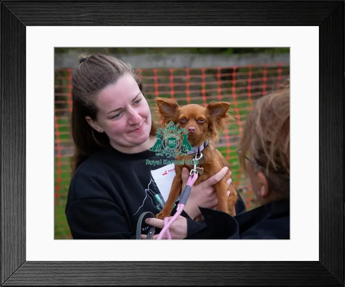 Framed Print : Scruffts Newbury Framed Print : Scruffts Newbury