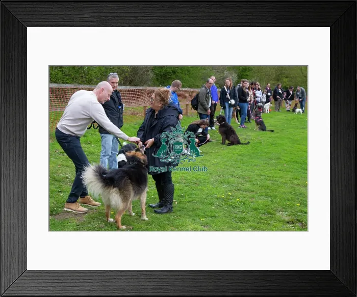 Framed Print : Scruffts Newbury Framed Print : Scruffts Newbury