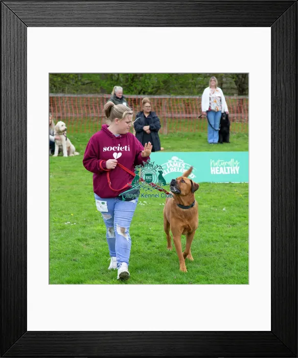 Framed Print : Scruffts Newbury Framed Print : Scruffts Newbury