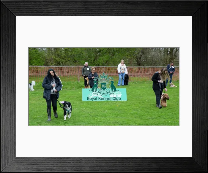 Framed Print : Scruffts Newbury Framed Print : Scruffts Newbury