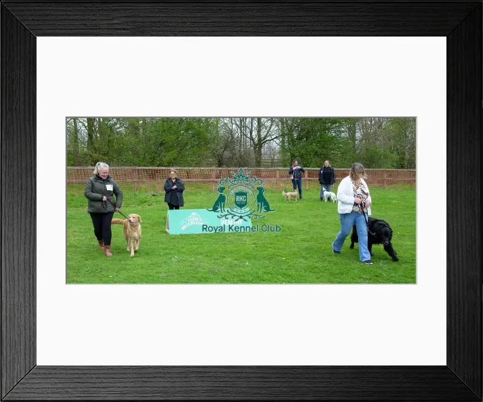 Framed Print : Scruffts Newbury Framed Print : Scruffts Newbury