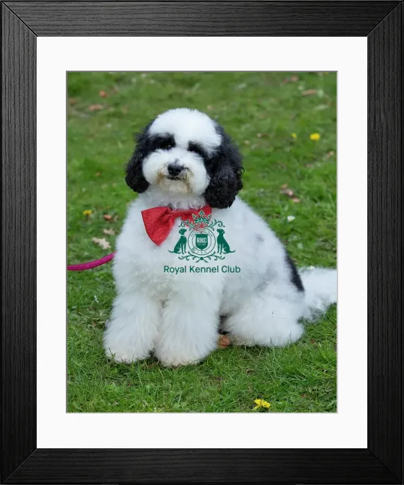 Framed Print : Scruffts Newbury Framed Print : Scruffts Newbury