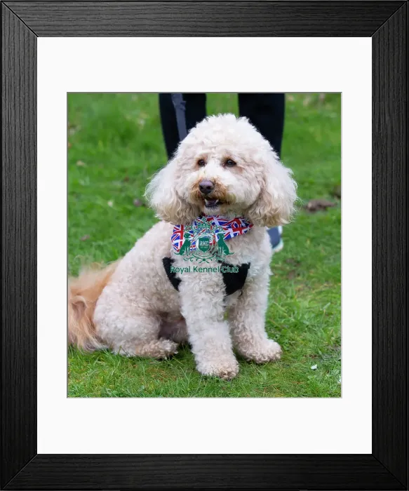Framed Print : Scruffts Newbury Framed Print : Scruffts Newbury