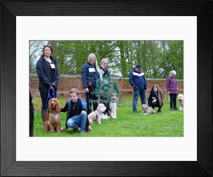 Framed Print : Scruffts Newbury Framed Print : Scruffts Newbury
