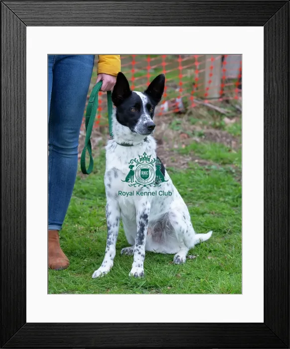 Framed Print : Scruffts Newbury Framed Print : Scruffts Newbury