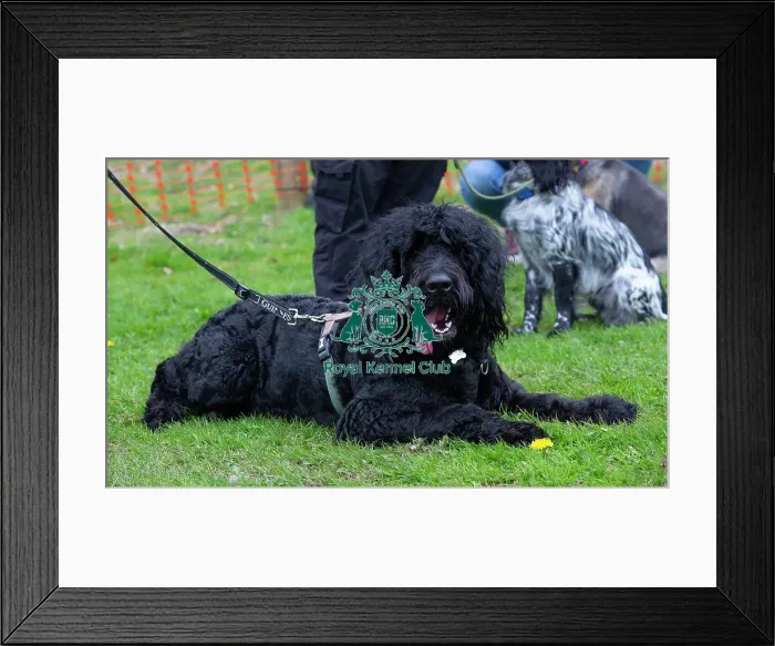 Framed Print : Scruffts Newbury Framed Print : Scruffts Newbury