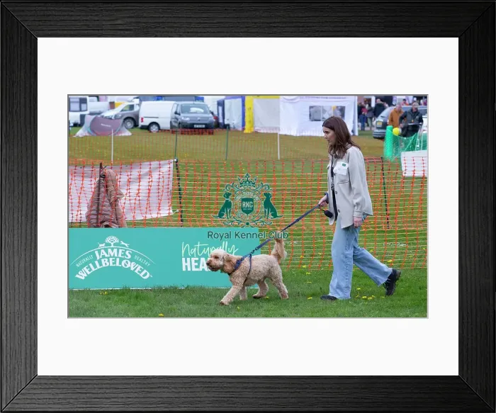 Framed Print : Scruffts Newbury Framed Print : Scruffts Newbury