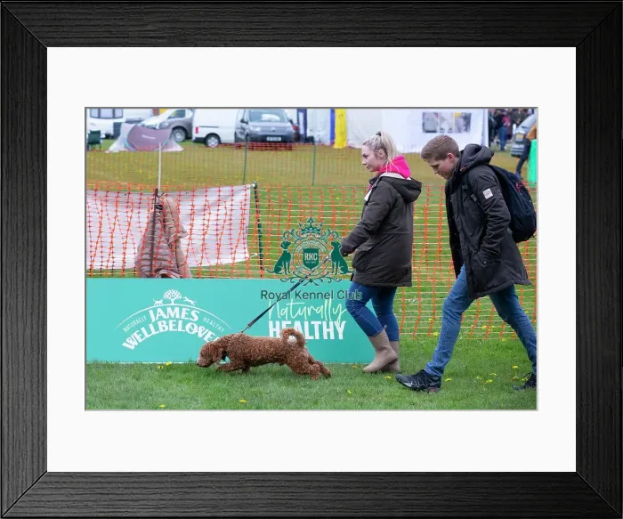 Framed Print : Scruffts Newbury Framed Print : Scruffts Newbury