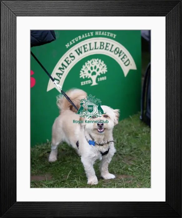 Framed Print : Scruffts Newbury Framed Print : Scruffts Newbury