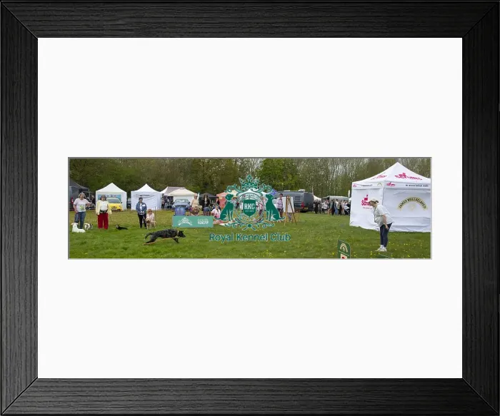Framed Print : Scruffts Hylands Park Framed Print : Scruffts Hylands Park